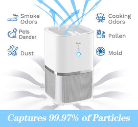 Acare Air Purifier with 3 Filters for Home Office 1 True HEPA Filter Air Cleaner Negative Ion Generator Quiet Enough for Bedroom
