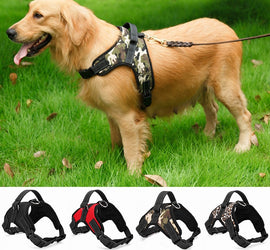 Heavy Duty, Adjustable, Dog Collar Harness
